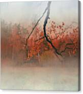 Charming Fall In Latvia Canvas Print