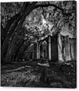 Old Sheldon Church Moonlit Night Canvas Print