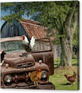 Old Vintage Ford Truck With Free Range Chickens On On A West Mich Canvas Print