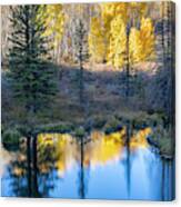 On Golden Puddle Canvas Print
