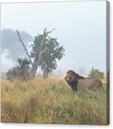 On The Hunt Canvas Print