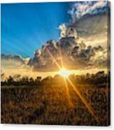 One Last Moment Of Brilliance Canvas Print