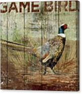 Open Season Pheasant Canvas Print
