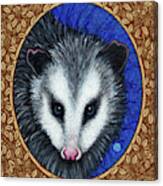 Opossum Portrait - Brown Border Canvas Print