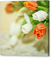 Orange And White Tulips, Textured Canvas Print