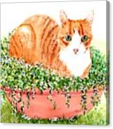 Orange Tabby Cat In Flower Pot Canvas Print