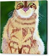 Original Oil Painting Orange Tabby Cat Canvas Print