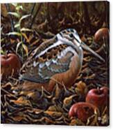 Orchard Woodcock Canvas Print