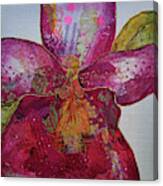 Orchid Passion Ii Canvas Print