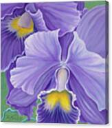Orchid Series 3 Canvas Print