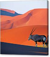 Oryx Antelope Canvas Print