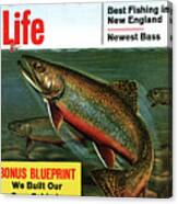 Outdoor Life Magazine Cover May 1960 Canvas Print
