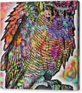 Owl Perch Canvas Print