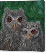 Owls Eyes Canvas Print
