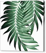Palm Leaves Tropical Green Vibes #4 #tropical #decor #art Canvas Print