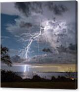 Palm Trees And Lightning Canvas Print