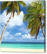 Palm Trees At A Tropical Beach In The Canvas Print