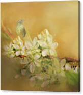 Palm Warbler Floral Canvas Print