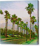 Palms In The Mist Canvas Print