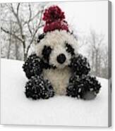 Panda On The Snowy Day Canvas Print