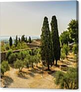 Panorama Of San Gimignano Canvas Print