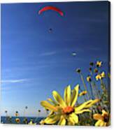 Paraglider Canvas Print