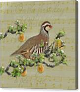 Partridge In A Pear Tree Canvas Print