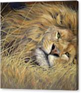 Peaceful King Canvas Print