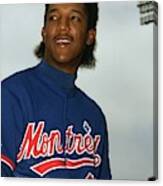 Pedro Martinez Montreal Expos Poster by Iconic Sports Gallery - Pixels