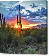 Tucson, Arizona Saguaro Sunset Canvas Print
