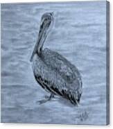 Pelican Watch Canvas Print
