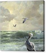 Pelicans In The Surf Canvas Print