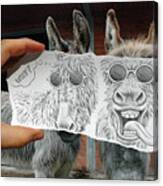 Pencil Vs Camera 12 - Funny Donkey Canvas Print