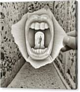 Pencil Vs Camera 34 - Big Mouth Canvas Print