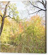 Pennypack Woods, Philadelphia Landmark, Autumn Canvas Print