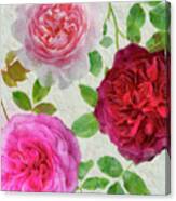 Peonies And Roses V Canvas Print