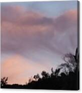 Perch Silhouetted By Sunset Virga Canvas Print
