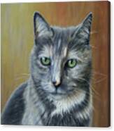 Pet Portrait Of Pickles The Cat Canvas Print