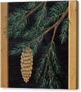 Pine Cone C Canvas Print