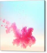 Pink Cloud Canvas Print