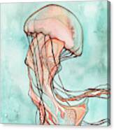 Pink Jellyfish Canvas Print