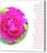 Pink Rose And Song Lyrics Canvas Print