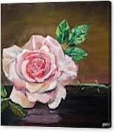 Pink Rose Canvas Print