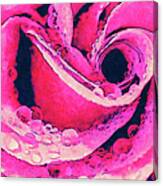 Pink Rose With Water Droplets Fx Canvas Print