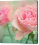 Pink Roses In Glass Canvas Print