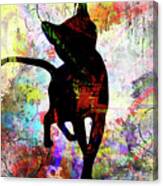 Playful Kitty 1 Canvas Print