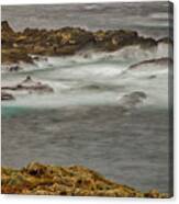 Point Lobos, Carmel, California Canvas Print