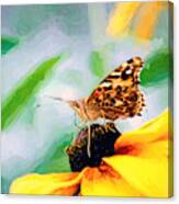 Poised Painted Lady Butterfly Canvas Print