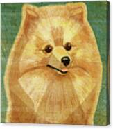 Pomeranian Canvas Print