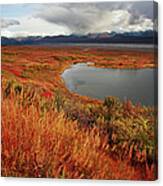 Pond In Denali National Park Canvas Print